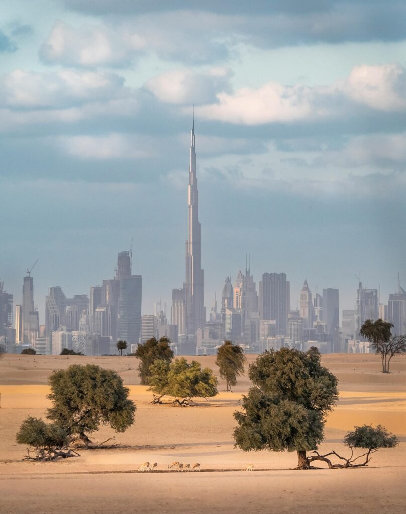 Dubai Desert Skyline